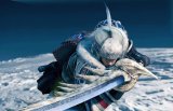 BUY NEW monster hunter - 195156 Premium Anime Print Poster